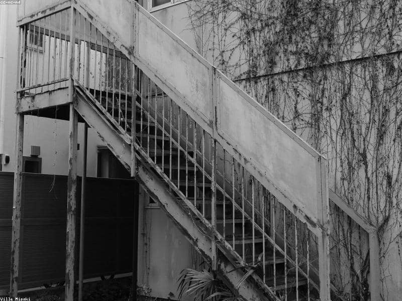 House soft wash — after